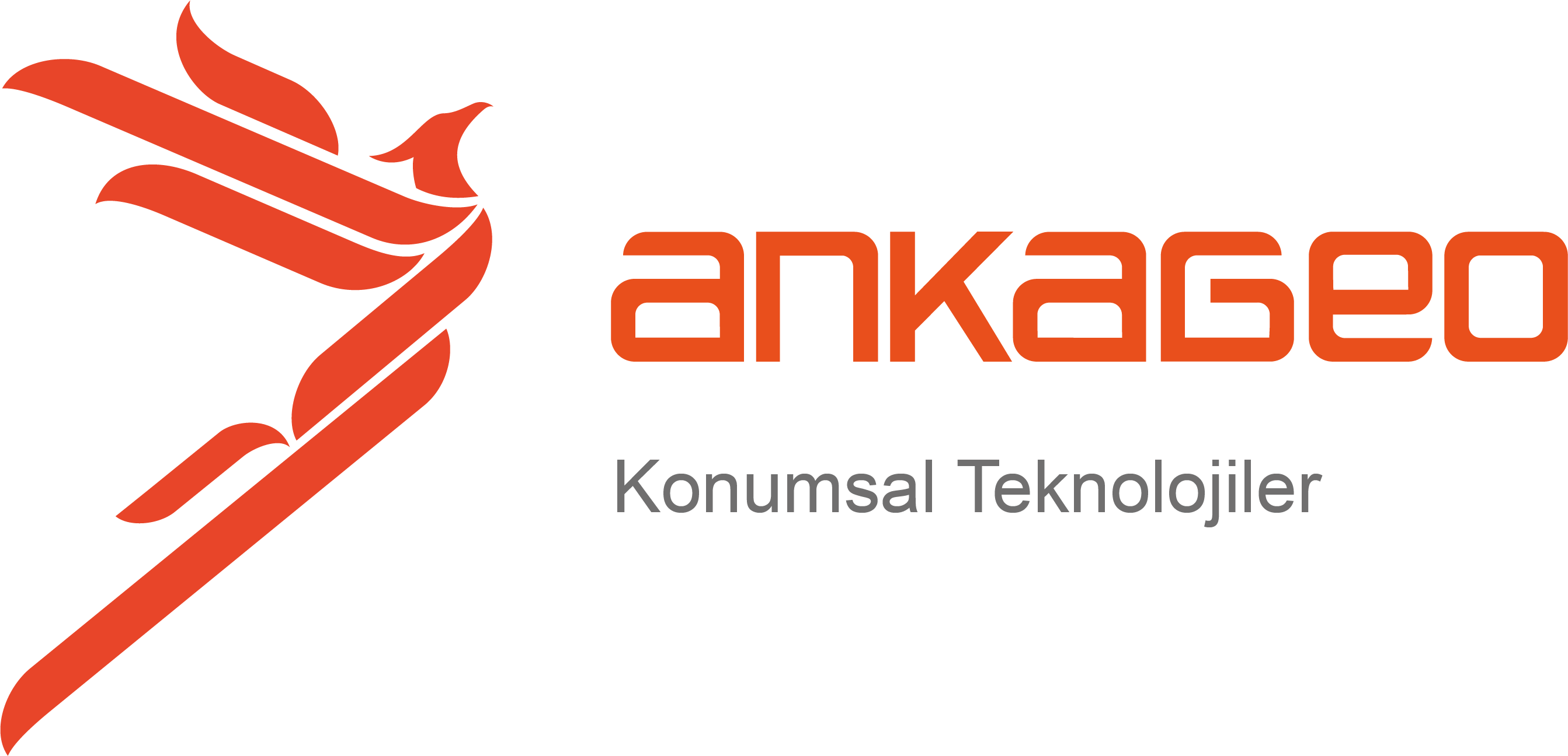 Şirket Kuruldu